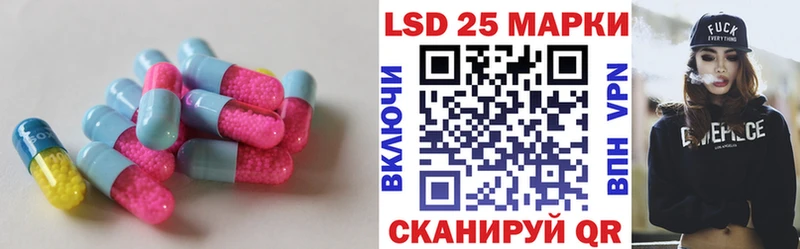 где купить наркоту  Кингисепп  Лсд 25 экстази кислота 