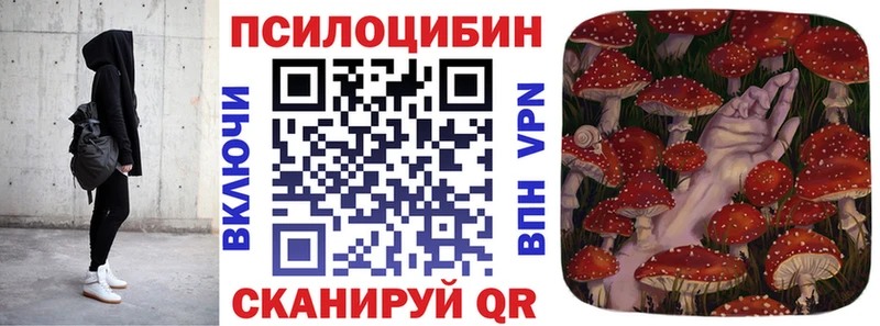 kraken ТОР Кингисепп Псилоцибиновые грибы прущие грибы